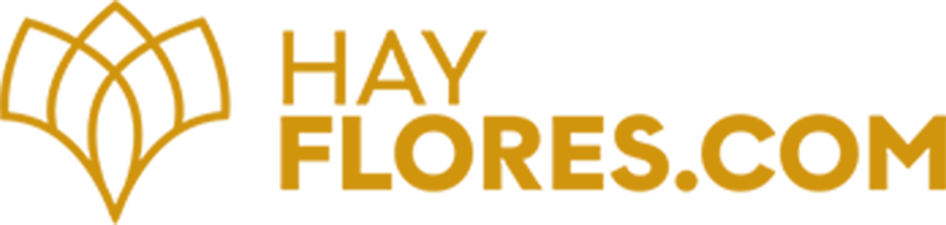 lavadapp